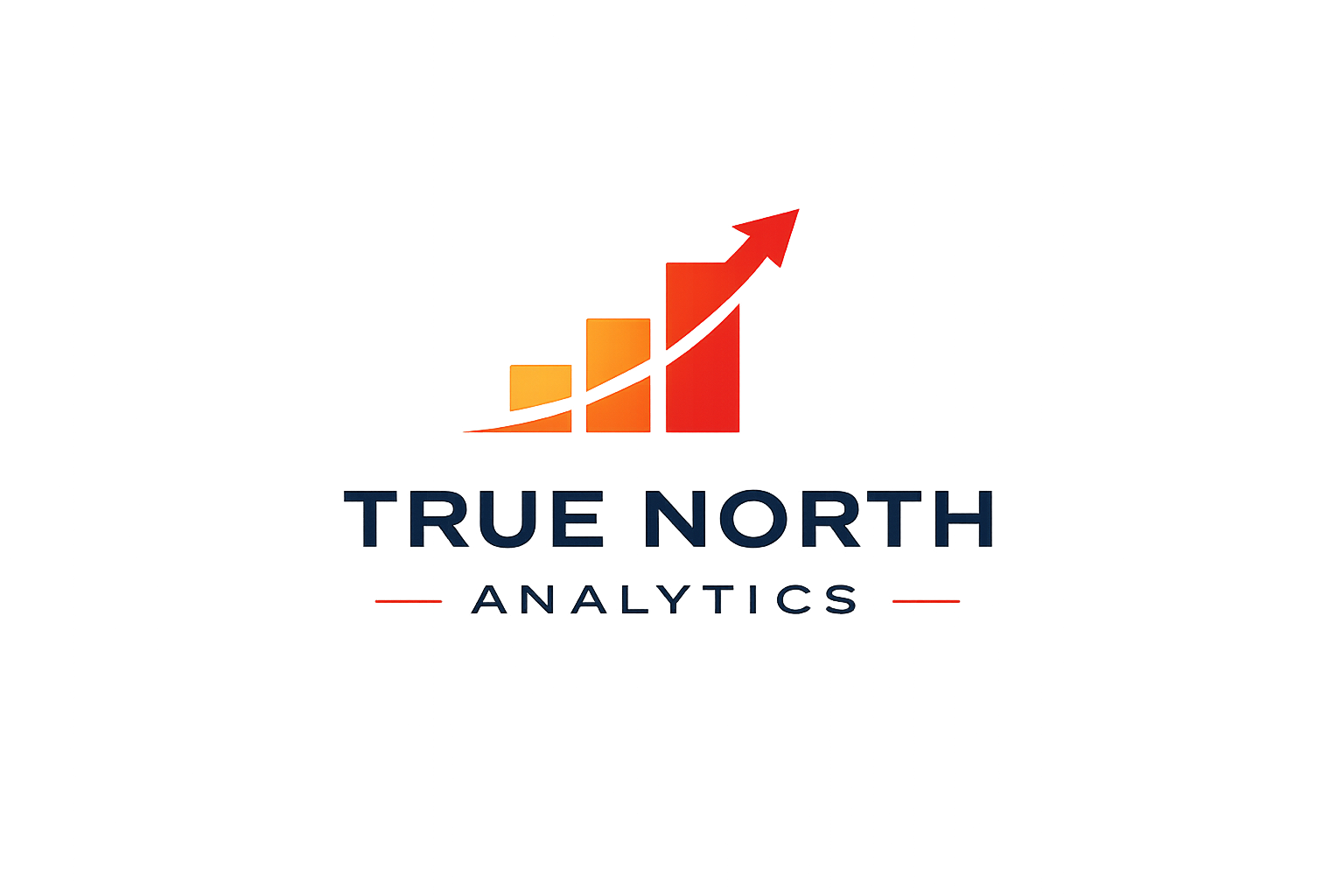 True North Analytics