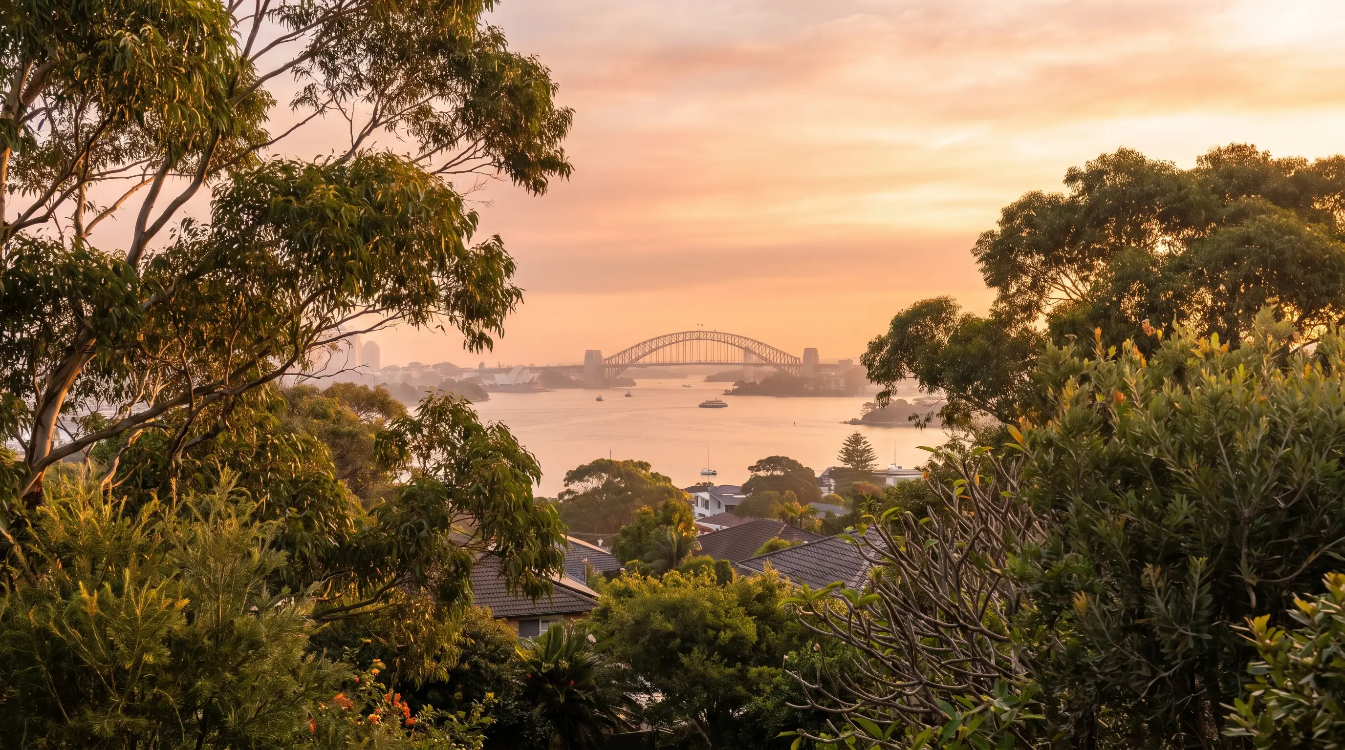 Sydney Harbour at golden hour from a leafy suburb